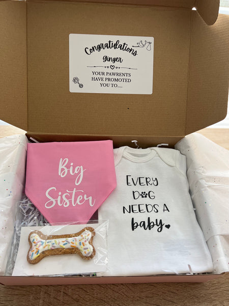 Big Brother/Big Sister Promotion Box