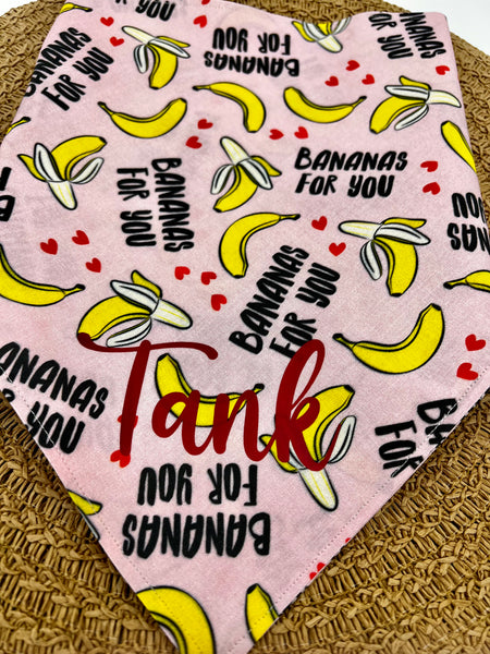Bananas Bandana